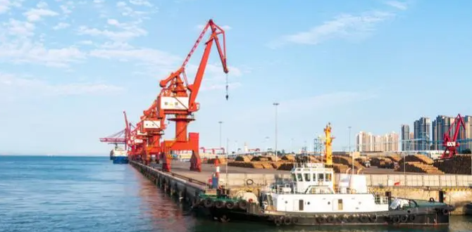 龙8头号玩家(国际集团)官方网站