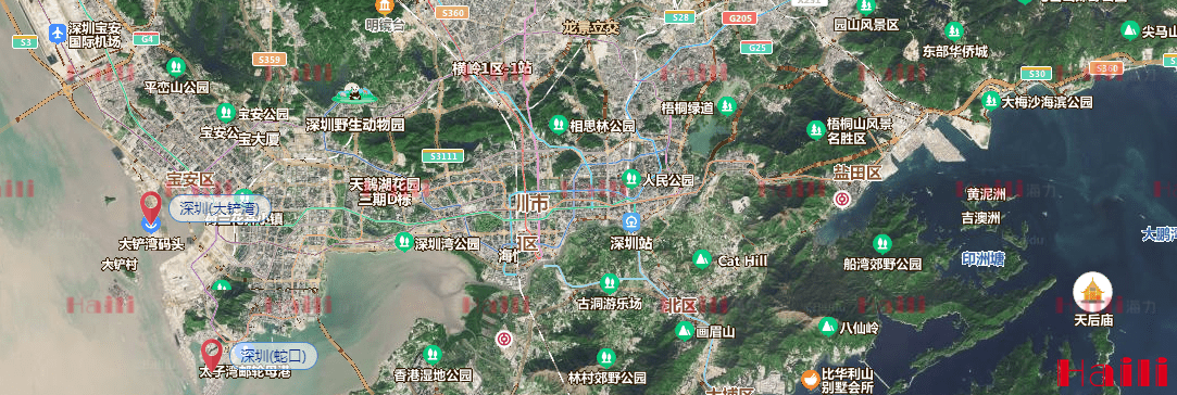 龙8头号玩家(国际集团)官方网站