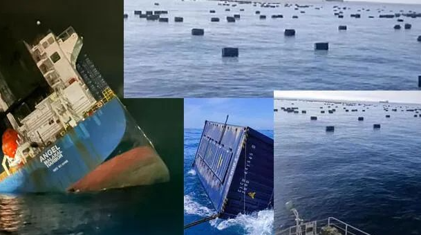 龙8头号玩家(国际集团)官方网站